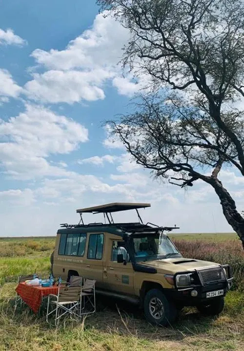 Luxury Safari vs Budget Safari in Tanzania